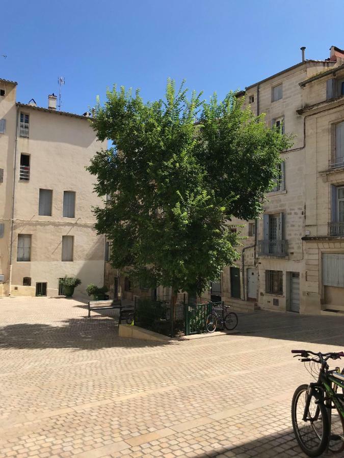 Super Appart T2 - Historic Center - Idealement Situe Montpellier Exterior photo